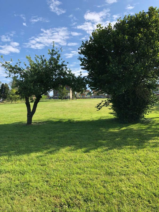 The Walnut Tree Gite Le Dorat Exteriör bild